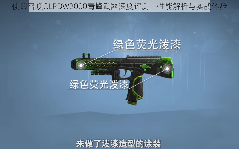 使命召唤OLPDW2000青蜂武器深度评测：性能解析与实战体验