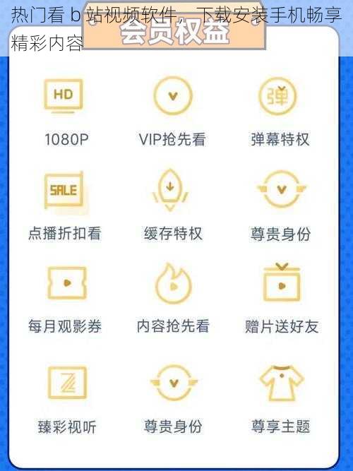 热门看 b 站视频软件，下载安装手机畅享精彩内容