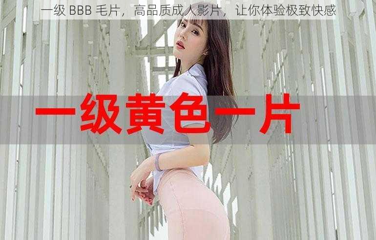 一级 BBB 毛片，高品质成人影片，让你体验极致快感