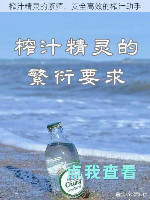 榨汁精灵的繁殖：安全高效的榨汁助手