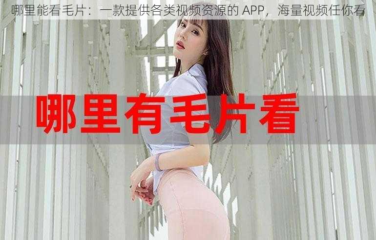 哪里能看毛片：一款提供各类视频资源的 APP，海量视频任你看