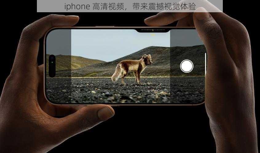 iphone 高清视频，带来震撼视觉体验