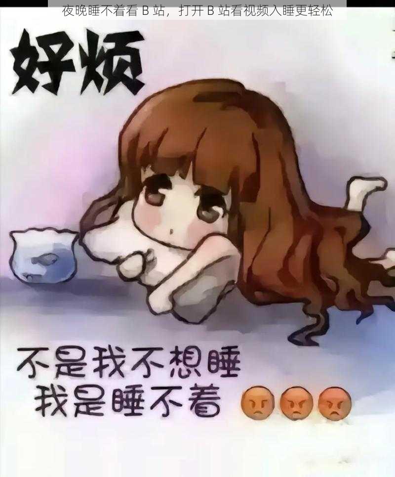 夜晚睡不着看 B 站，打开 B 站看视频入睡更轻松