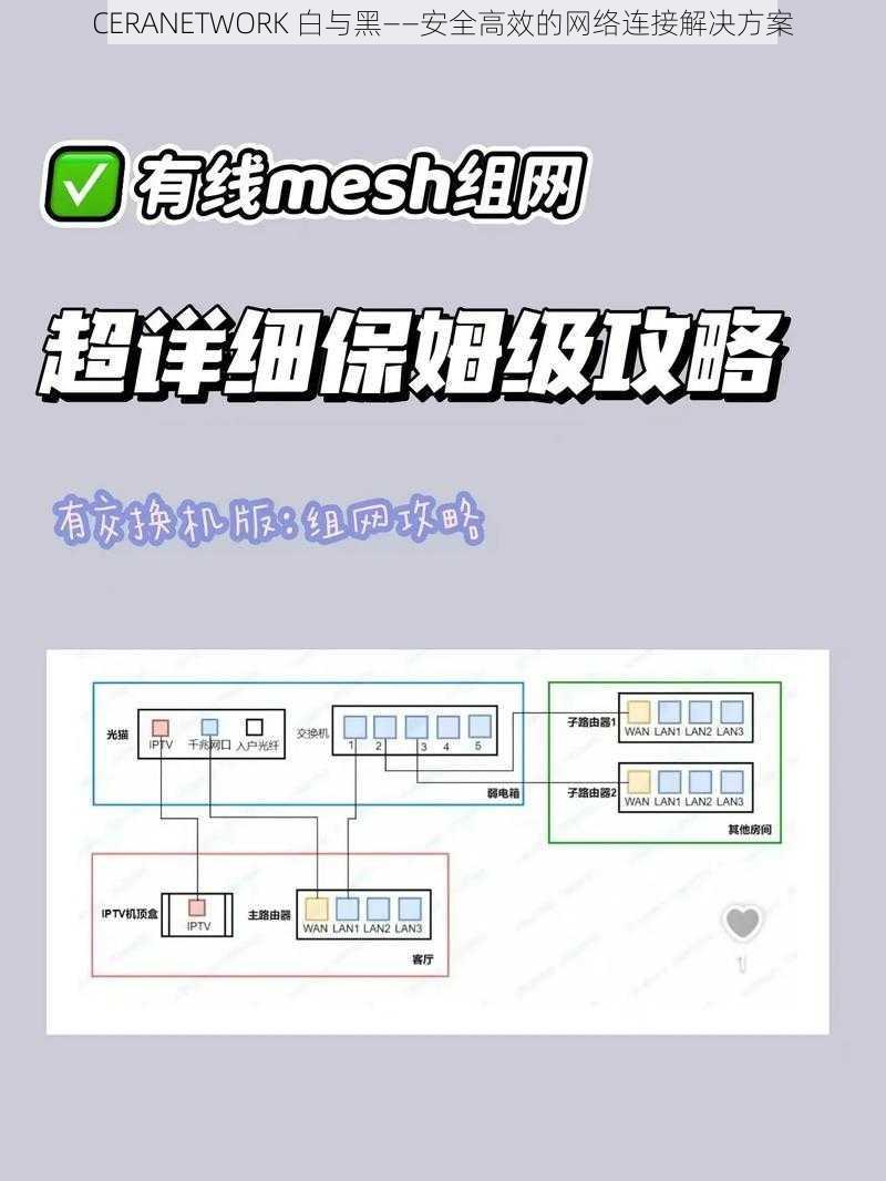 CERANETWORK 白与黑——安全高效的网络连接解决方案