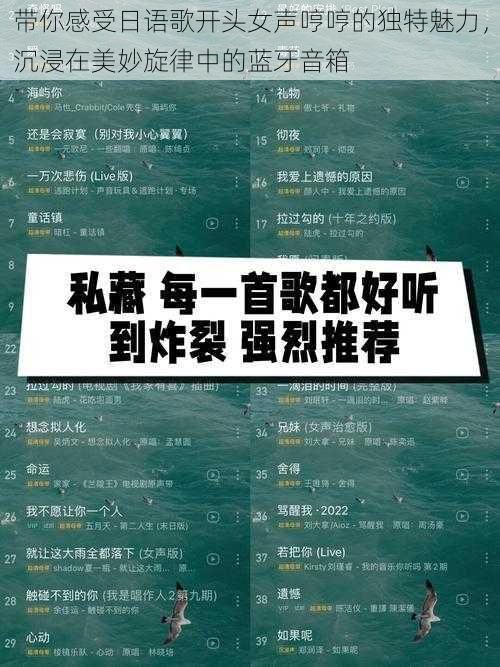 带你感受日语歌开头女声哼哼的独特魅力，沉浸在美妙旋律中的蓝牙音箱