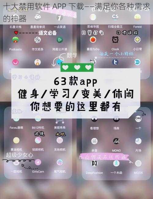 十大禁用软件 APP 下载——满足你各种需求的神器