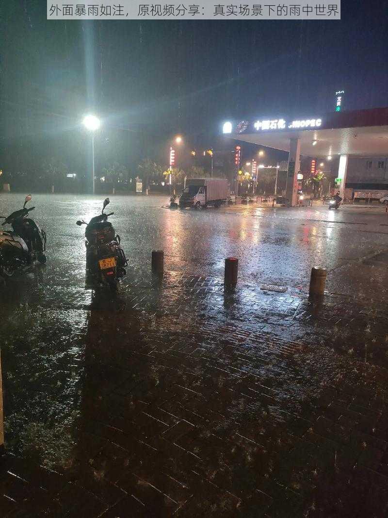 外面暴雨如注，原视频分享：真实场景下的雨中世界