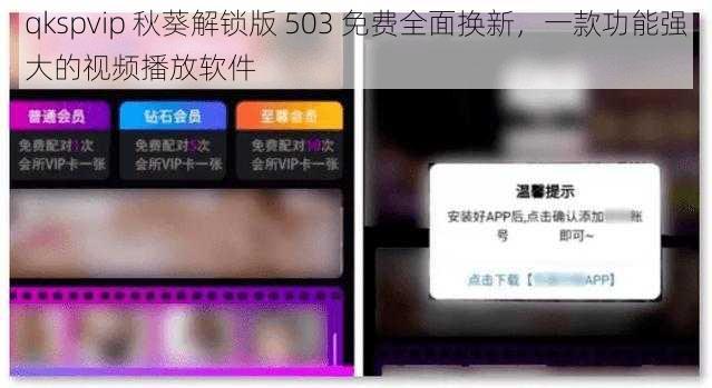 qkspvip 秋葵解锁版 503 免费全面换新，一款功能强大的视频播放软件