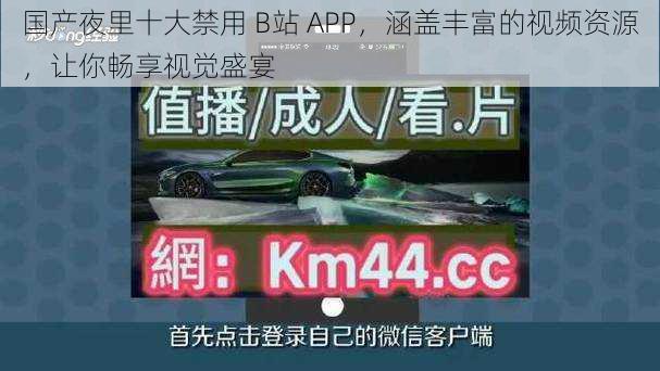 国产夜里十大禁用 B站 APP，涵盖丰富的视频资源，让你畅享视觉盛宴