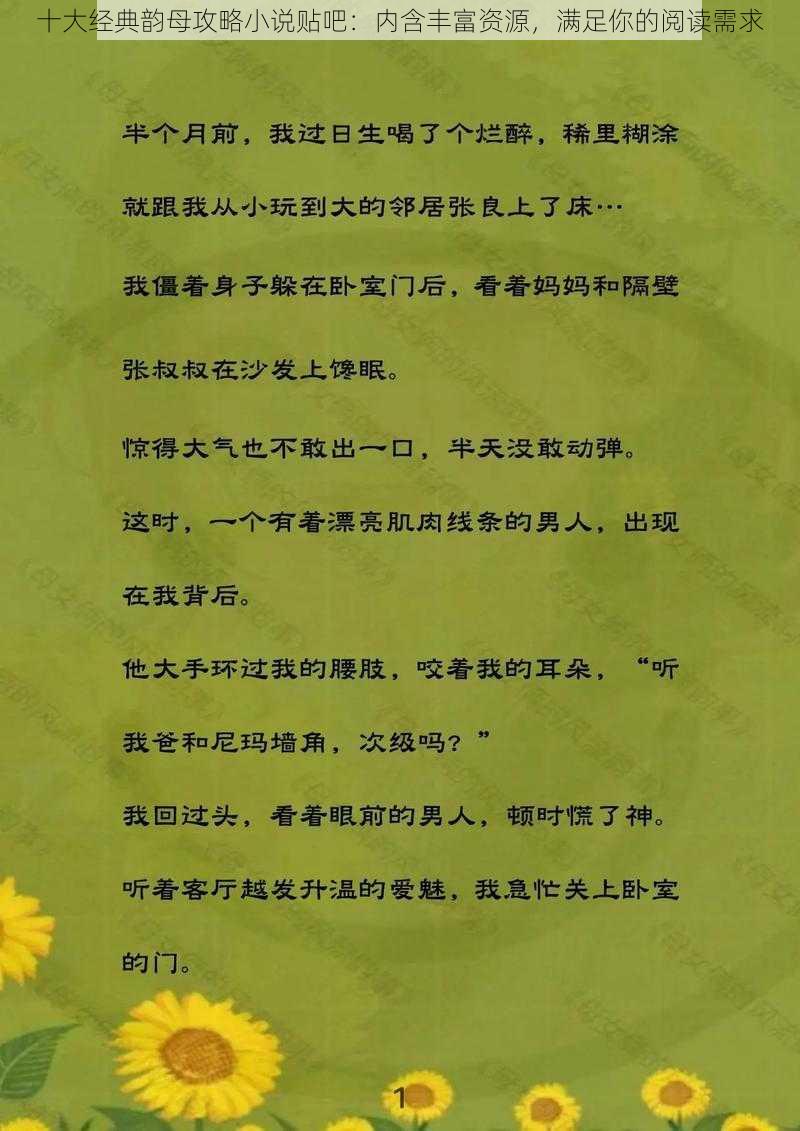 十大经典韵母攻略小说贴吧：内含丰富资源，满足你的阅读需求