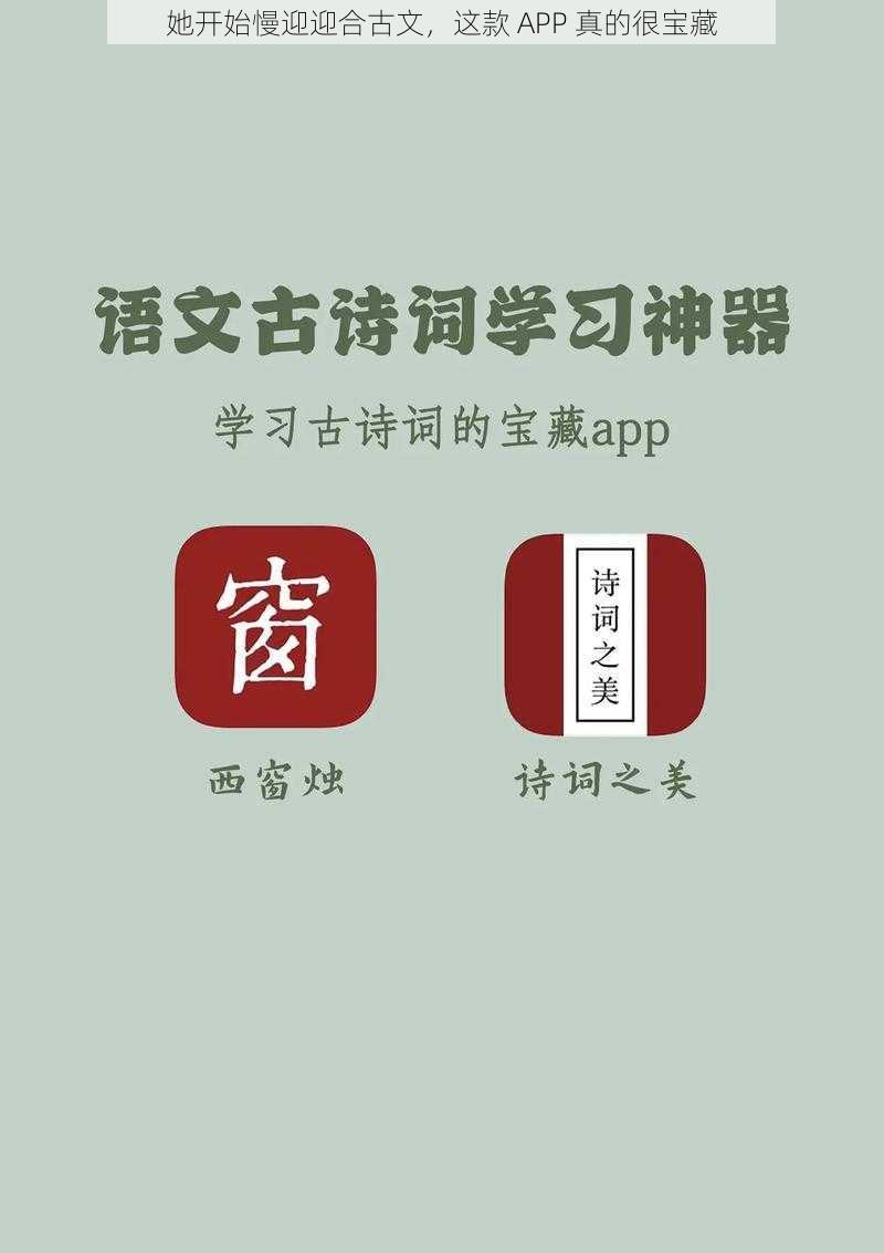 她开始慢迎迎合古文，这款 APP 真的很宝藏