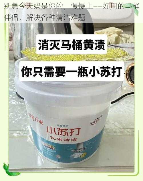 别急今天妈是你的，慢慢上——好用的马桶伴侣，解决各种清洁难题