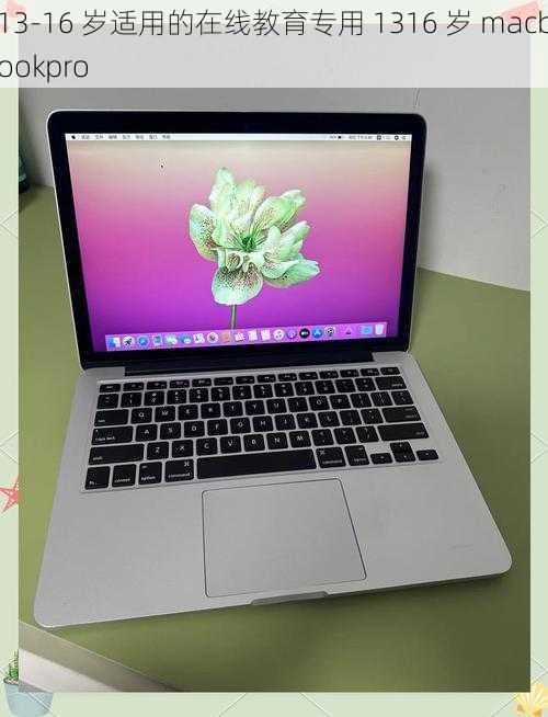 13-16 岁适用的在线教育专用 1316 岁 macbookpro