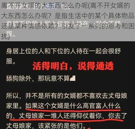 离不开女婿的大东西怎么办呢(离不开女婿的大东西怎么办呢？是指生活中的某个具体物品还是某种情感依赖？引发了一系列的思考和困扰)