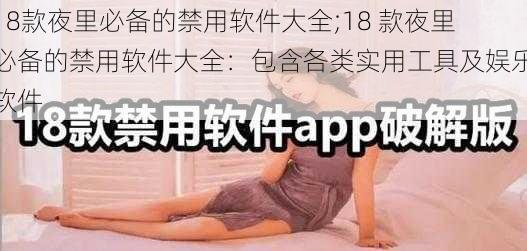 18款夜里必备的禁用软件大全;18 款夜里必备的禁用软件大全：包含各类实用工具及娱乐软件