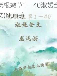 老根嫩草1一40淑媛全文(None)