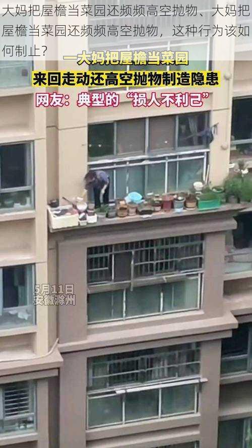 大妈把屋檐当菜园还频频高空抛物、大妈把屋檐当菜园还频频高空抛物，这种行为该如何制止？