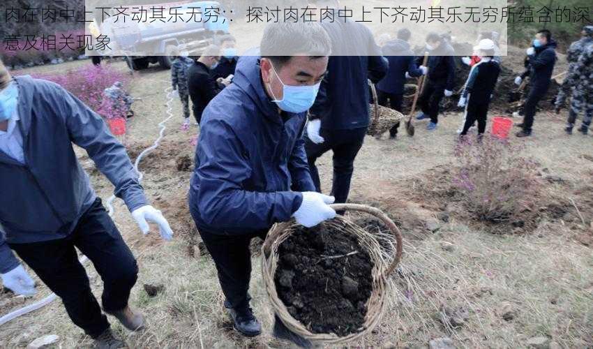 肉在肉中上下齐动其乐无穷;：探讨肉在肉中上下齐动其乐无穷所蕴含的深意及相关现象