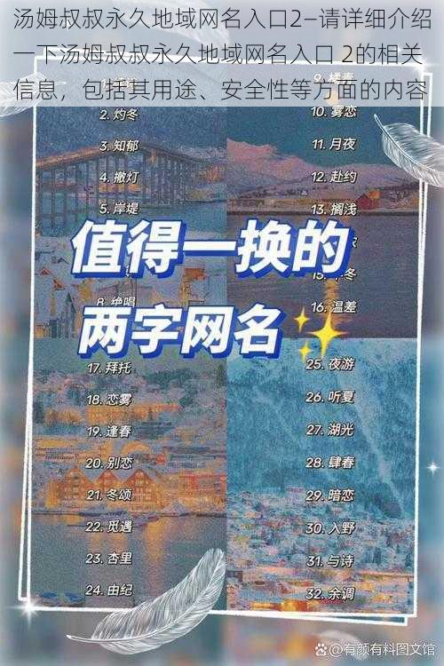 汤姆叔叔永久地域网名入口2—请详细介绍一下汤姆叔叔永久地域网名入口 2的相关信息，包括其用途、安全性等方面的内容