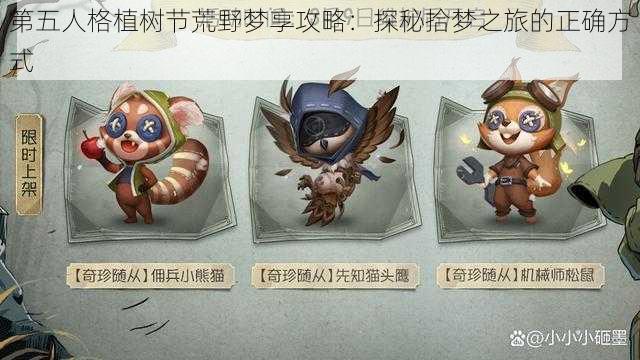 第五人格植树节荒野梦享攻略：探秘拾梦之旅的正确方式