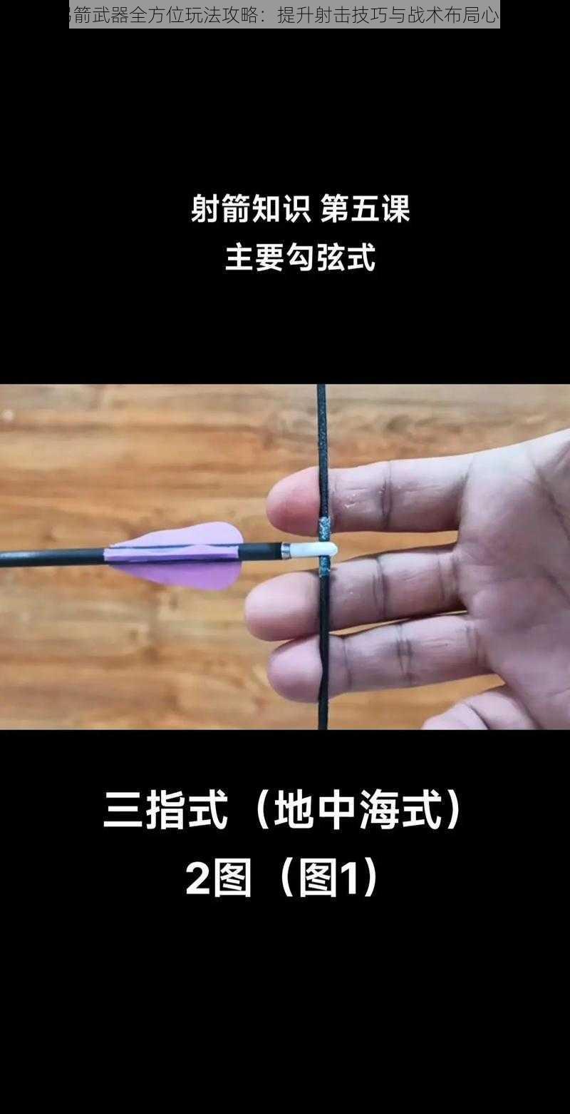 时刻弓箭武器全方位玩法攻略：提升射击技巧与战术布局心得分享