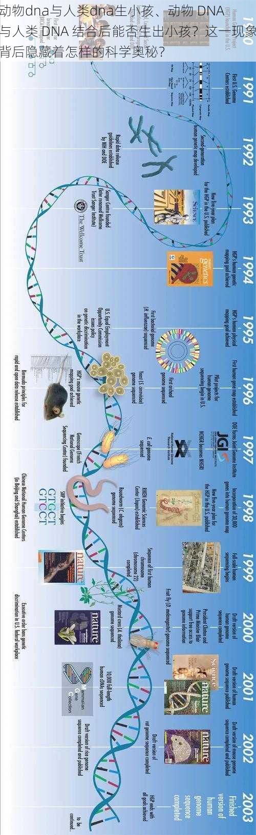 动物dna与人类dna生小孩、动物 DNA 与人类 DNA 结合后能否生出小孩？这一现象背后隐藏着怎样的科学奥秘？