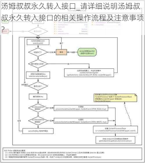 汤姆叔叔永久转入接口_请详细说明汤姆叔叔永久转入接口的相关操作流程及注意事项？