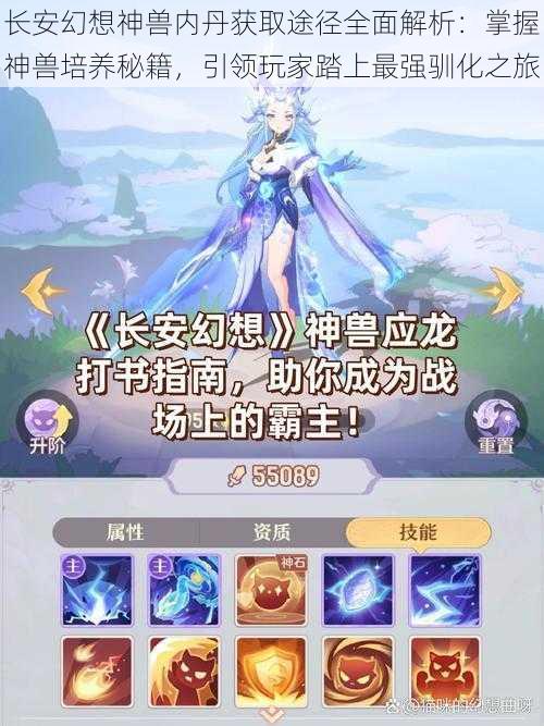 长安幻想神兽内丹获取途径全面解析：掌握神兽培养秘籍，引领玩家踏上最强驯化之旅