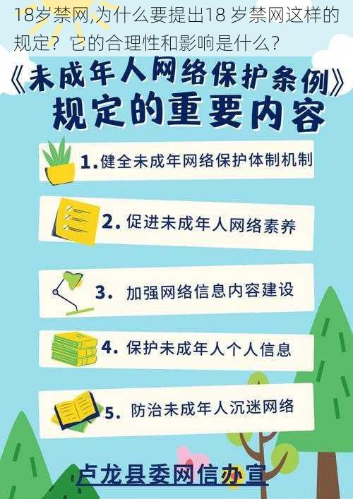 18岁禁网,为什么要提出18 岁禁网这样的规定？它的合理性和影响是什么？