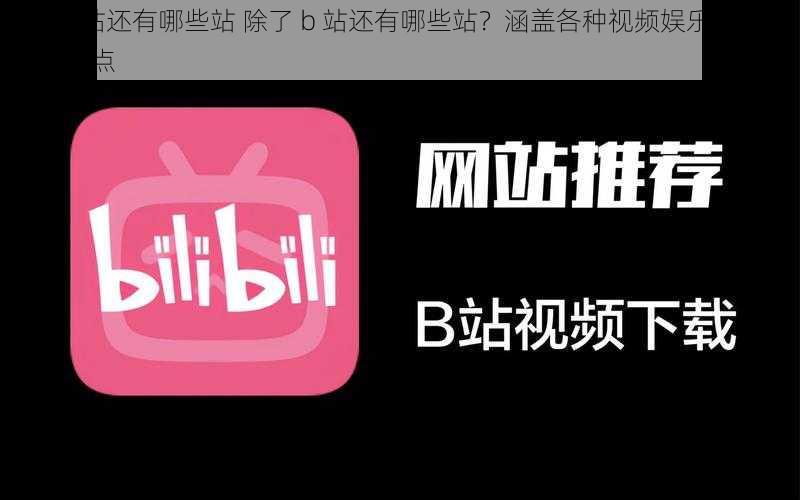 除了b站还有哪些站 除了 b 站还有哪些站？涵盖各种视频娱乐平台的全面盘点