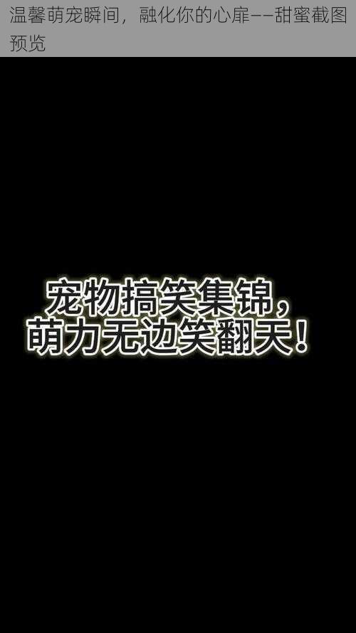 温馨萌宠瞬间，融化你的心扉——甜蜜截图预览